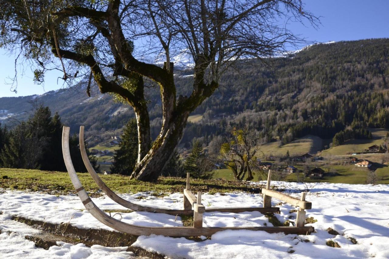 Les Picaillons - Le Chalet Les Villards-sur-Thônes 외부 사진